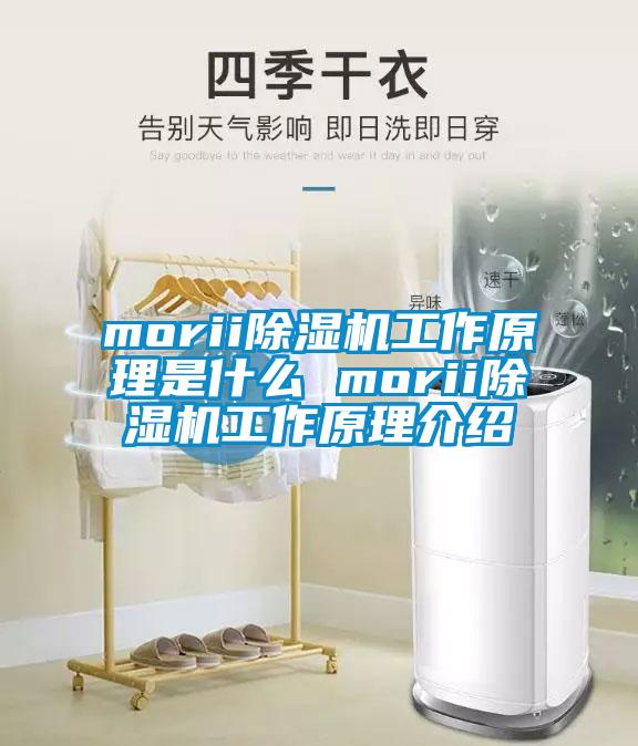 morii除湿机工作原理是什么 morii除湿机工作原理介绍