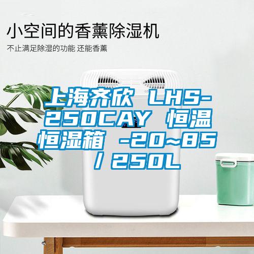 上海齐欣 LHS-250CAY 恒温恒湿箱 -20~85℃/250L