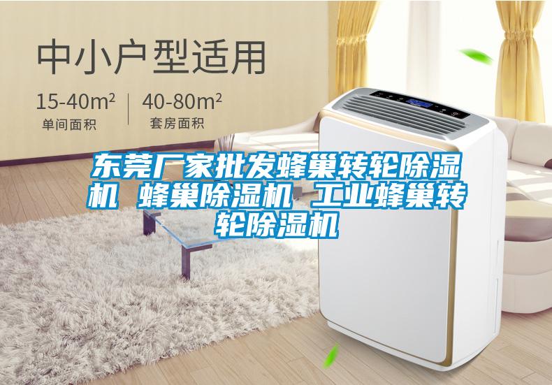 东莞厂家批发蜂巢转轮除湿机 蜂巢除湿机 工业蜂巢转轮除湿机