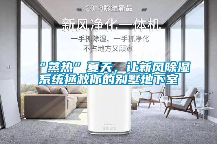 “蒸热”夏天,让新风除湿系统拯救你的别墅地下室