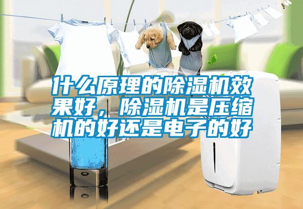 什么原理的除湿机效果好,除湿机是压缩机的好还是电子的好