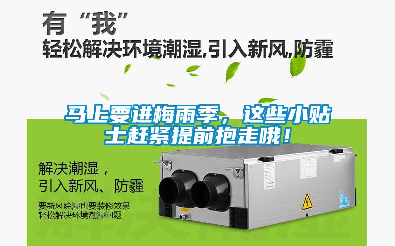 马上要进梅雨季,这些小贴士赶紧提前抱走哦!