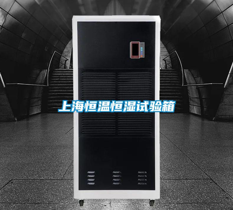 上海恒温恒湿试验箱