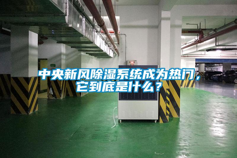 中央新风除湿系统成为热门,它到底是什么?