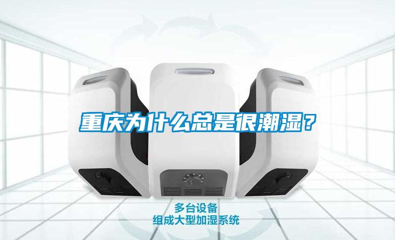 重庆为什么总是很潮湿?