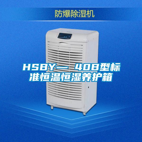 HSBY— 40B型标准恒温恒湿养护箱