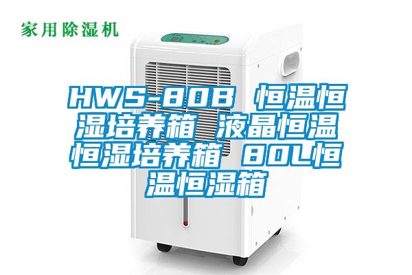 HWS-80B 恒温恒湿培养箱 液晶恒温恒湿培养箱 80L恒温恒湿箱