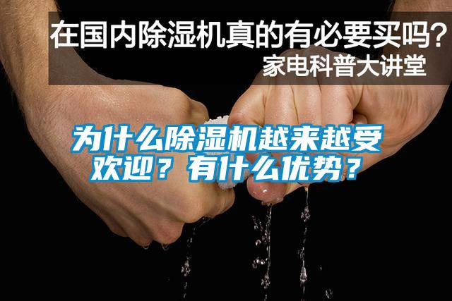 为什么除湿机越来越受欢迎?有什么优势?