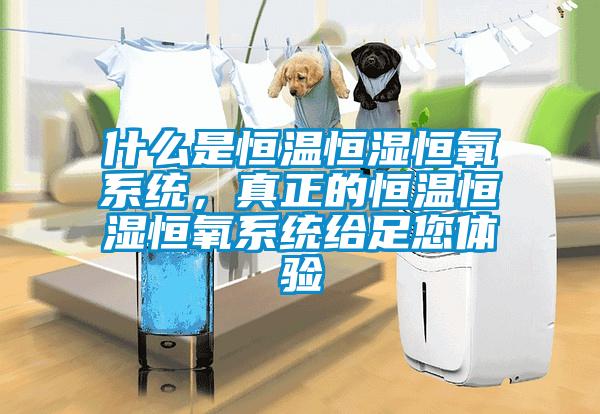 什么是恒温恒湿恒氧系统,真正的恒温恒湿恒氧系统给足您体验