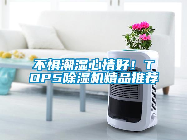 不惧潮湿心情好!TOP5除湿机精品推荐