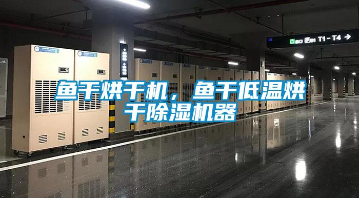 鱼干烘干机,鱼干低温烘干除湿机器