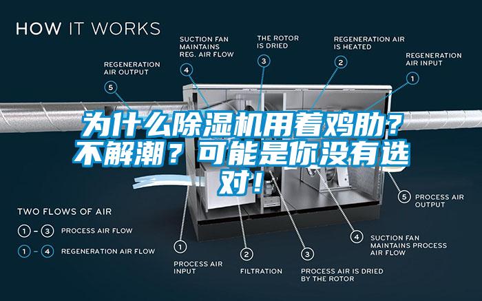 为什么除湿机用着鸡肋?不解潮?可能是你没有选对!