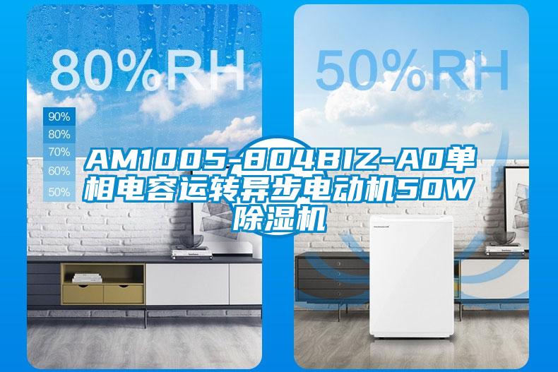 AM1005-804BIZ-A0单相电容运转异步电动机50W除湿机