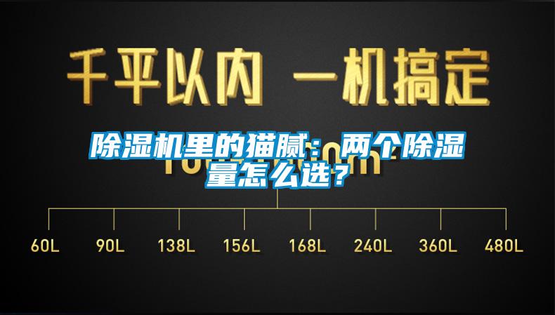 除湿机里的猫腻:两个除湿量怎么选?