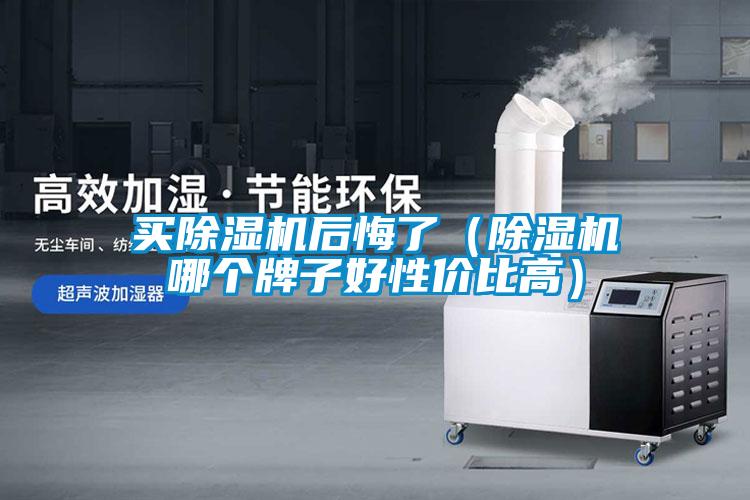买除湿机后悔了(除湿机哪个牌子好性价比高)
