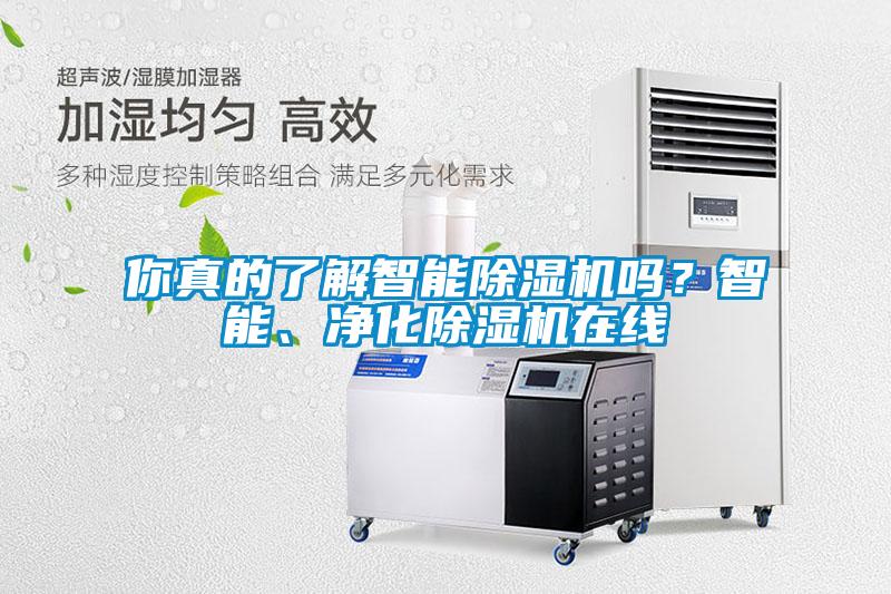 你真的了解智能除湿机吗?智能、净化除湿机在线