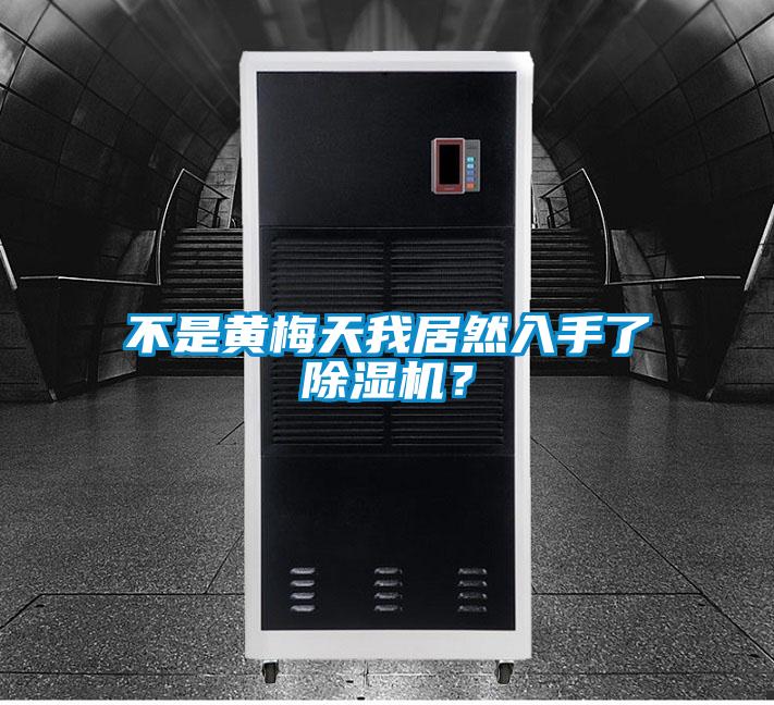 不是黄梅天我居然入手了除湿机?