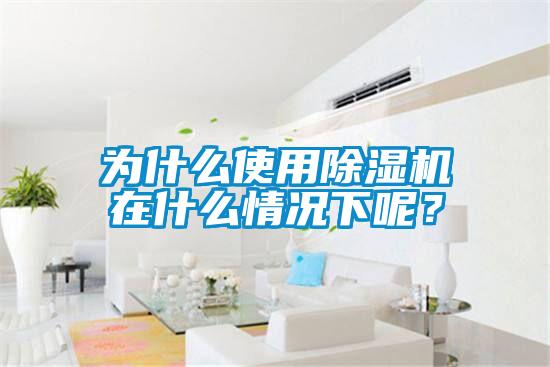 为什么使用除湿机在什么情况下呢?