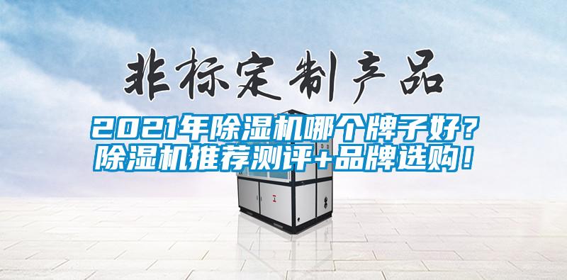 2021年除湿机哪个牌子好?除湿机推荐测评+品牌选购!