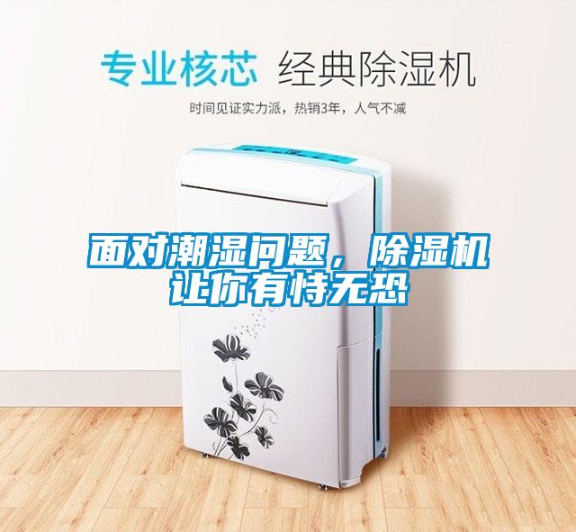 面对潮湿问题,除湿机让你有恃无恐