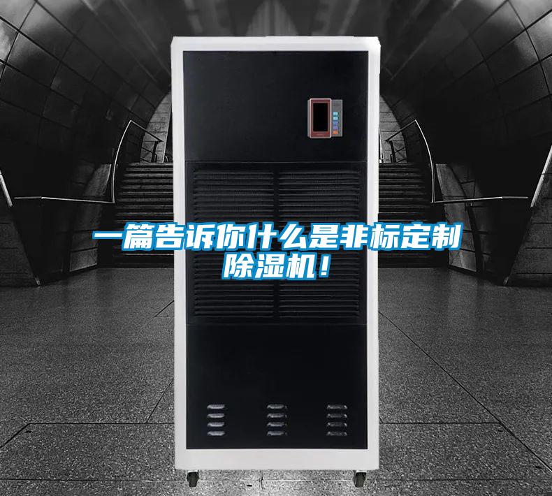 一篇告诉你什么是非标定制除湿机!