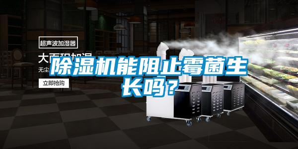 除湿机能阻止霉菌生长吗?