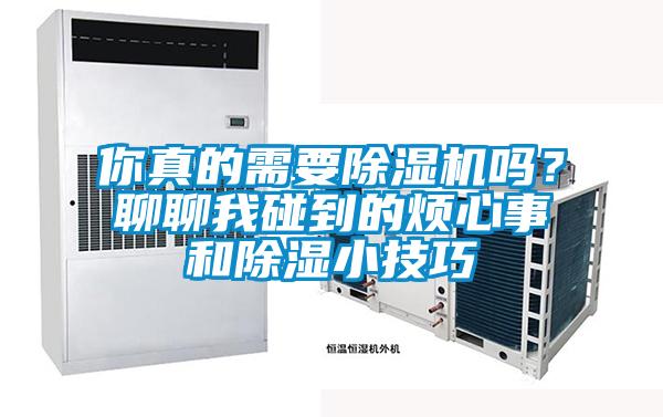 你真的需要除湿机吗?聊聊我碰到的烦心事和除湿小技巧