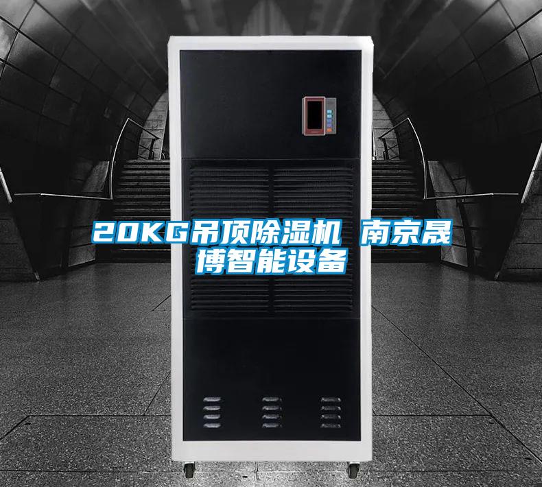 20KG吊顶除湿机 南京晟博智能设备
