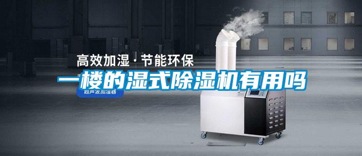 一楼的湿式除湿机有用吗