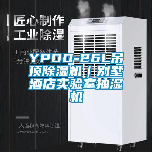 YPDD-26L吊顶除湿机|别墅酒店实验室抽湿机