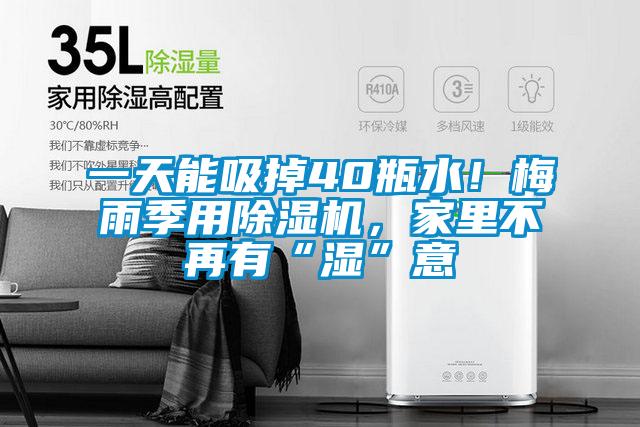 一天能吸掉40瓶水!梅雨季用除湿机,家里不再有“湿”意