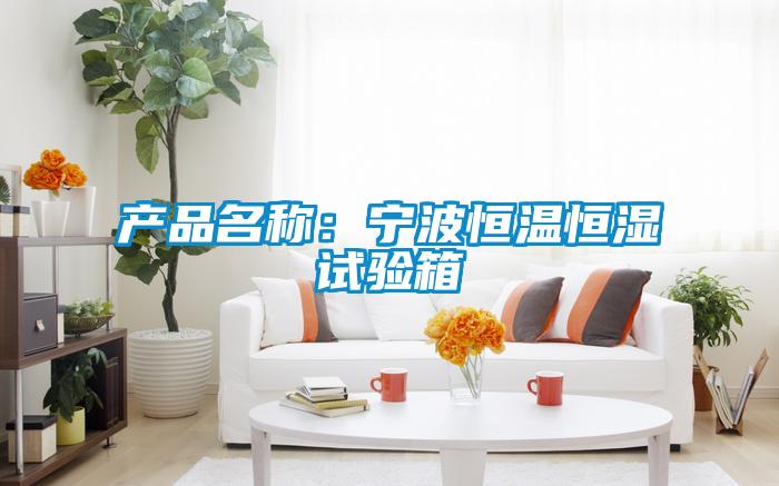 产品名称:宁波恒温恒湿试验箱