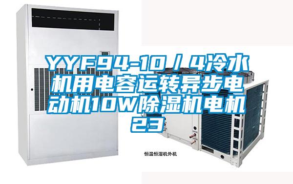 YYF94-10/4冷水机用电容运转异步电动机10W除湿机电机23