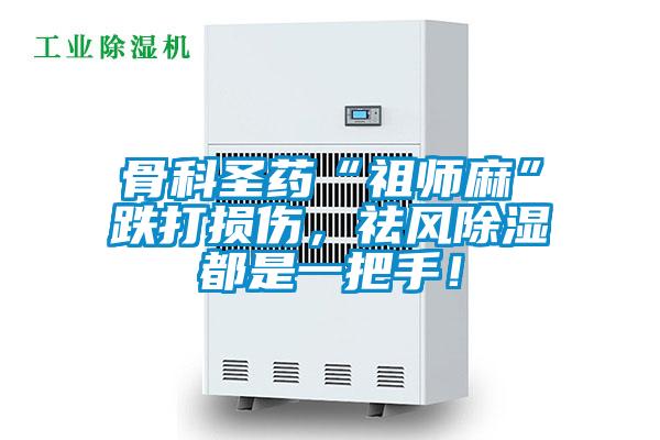 骨科圣药“祖师麻”跌打损伤,祛风除湿都是一把手!