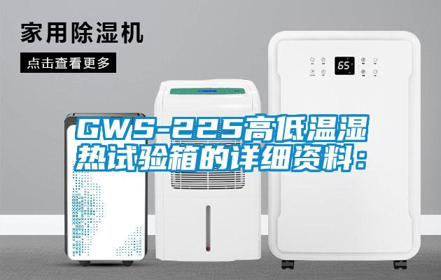 GWS-225高低温湿热试验箱的详细资料: