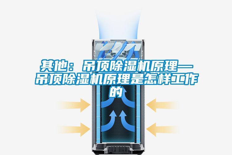 其他:吊顶除湿机原理—吊顶除湿机原理是怎样工作的
