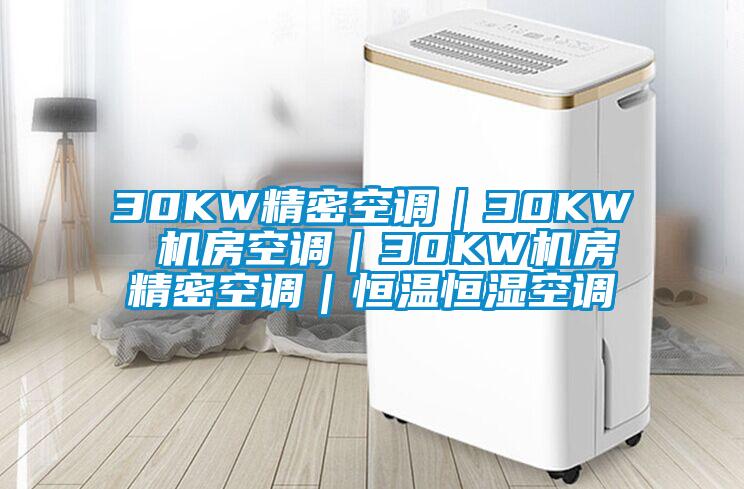 30KW精密空调|30KW 机房空调|30KW机房精密空调|恒温恒湿空调