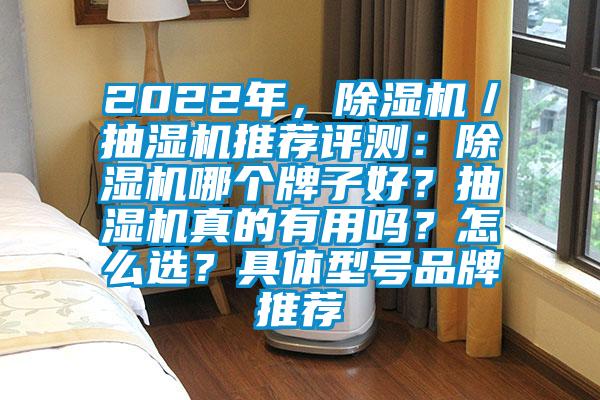2022年,除湿机/抽湿机推荐评测:除湿机哪个牌子好?抽湿机真的有用吗?怎么选?具体型号品牌推荐