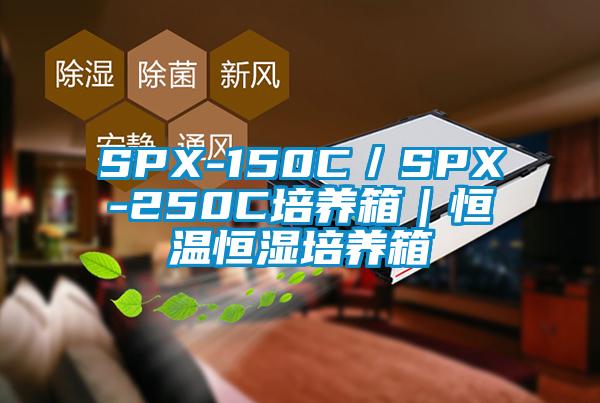 SPX-150C/SPX-250C培养箱|恒温恒湿培养箱