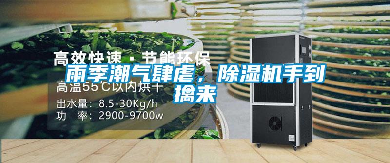 雨季潮气肆虐,除湿机手到擒来