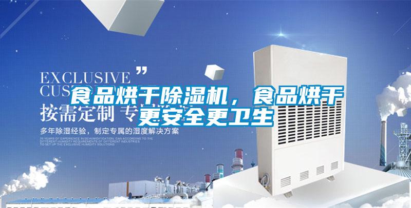 食品烘干除湿机,食品烘干更安全更卫生