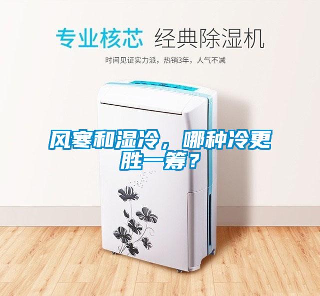 风寒和湿冷,哪种冷更胜一筹?
