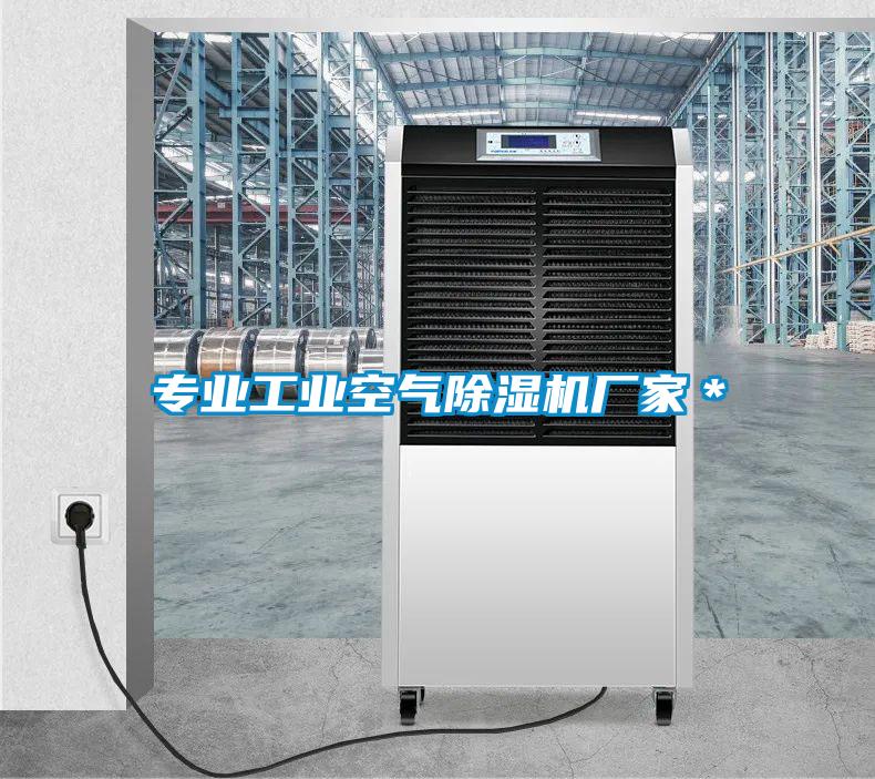 专业工业空气除湿机厂家*