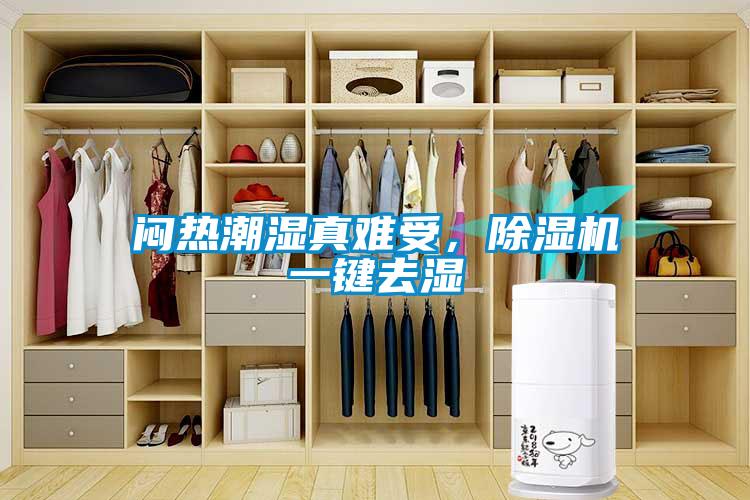 闷热潮湿真难受,除湿机一键去湿