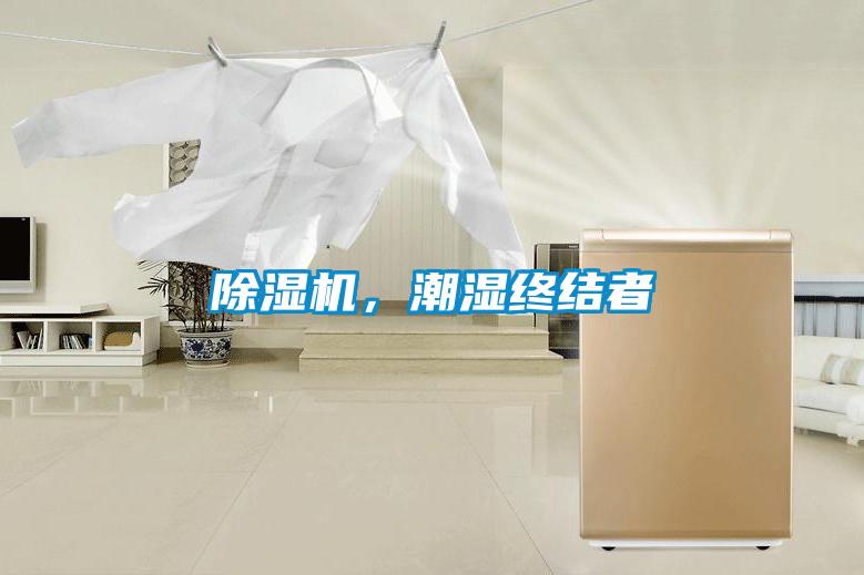 除湿机,潮湿终结者