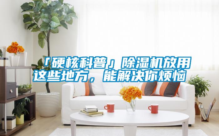 「硬核科普」除湿机放用这些地方,能解决你烦恼