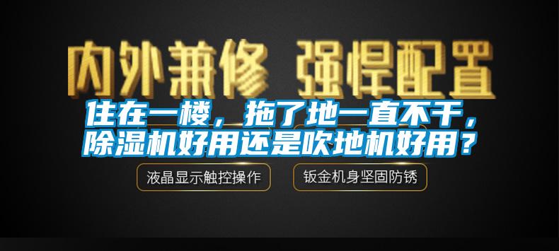 住在一楼,拖了地一直不干,除湿机好用还是吹地机好用?