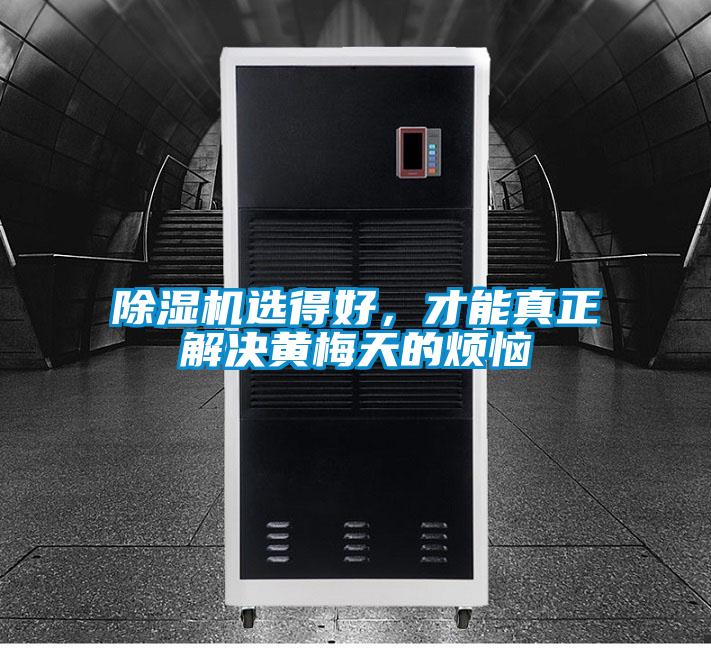除湿机选得好,才能真正解决黄梅天的烦恼
