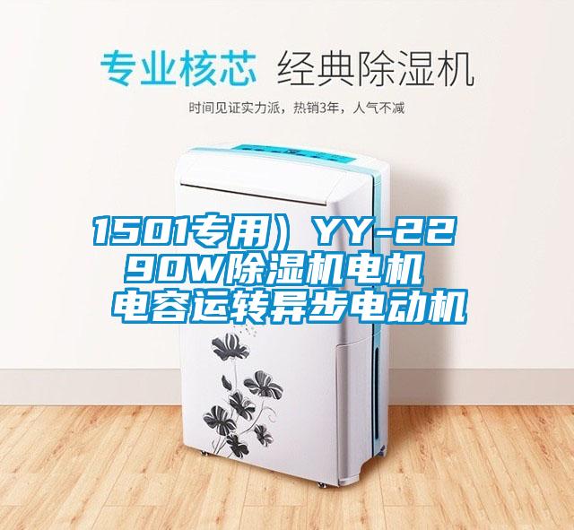 1501专用)YY-22  90W除湿机电机  电容运转异步电动机