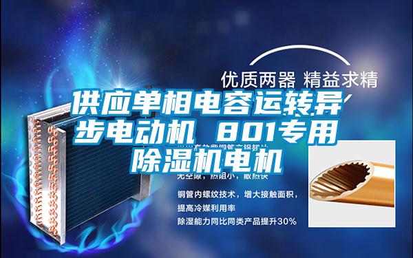 供应单相电容运转异步电动机 801专用除湿机电机